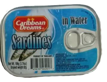 Caribbean Dreams Sardine In Water Image